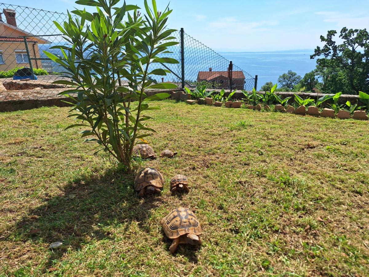Apartmani Marini Opatija Extérieur photo